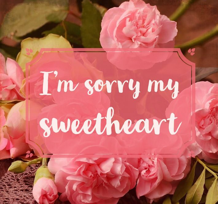50 Sorry Love Messages to Apologize from the Heart