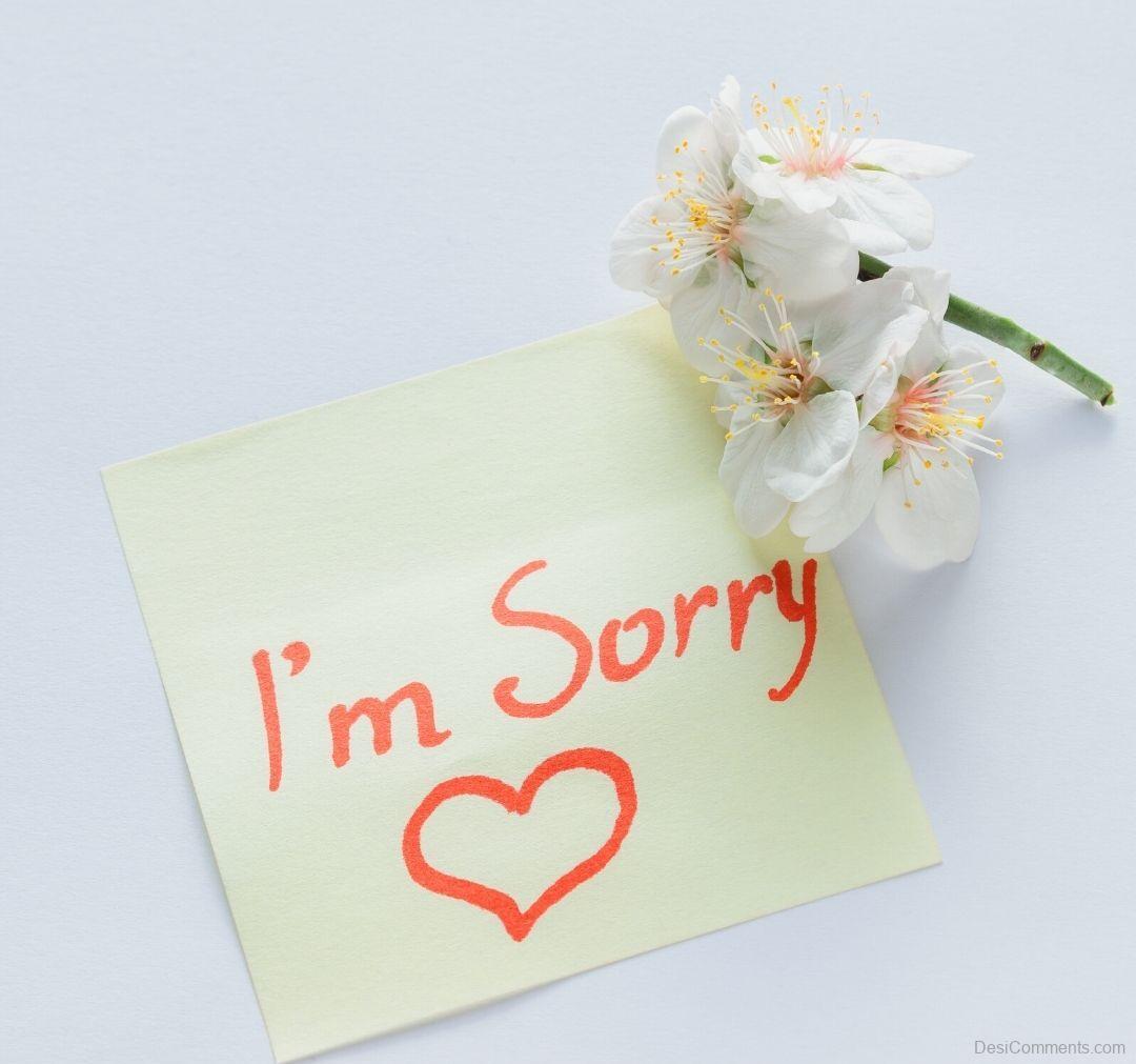 50 Sorry Love Messages to Apologize from the Heart