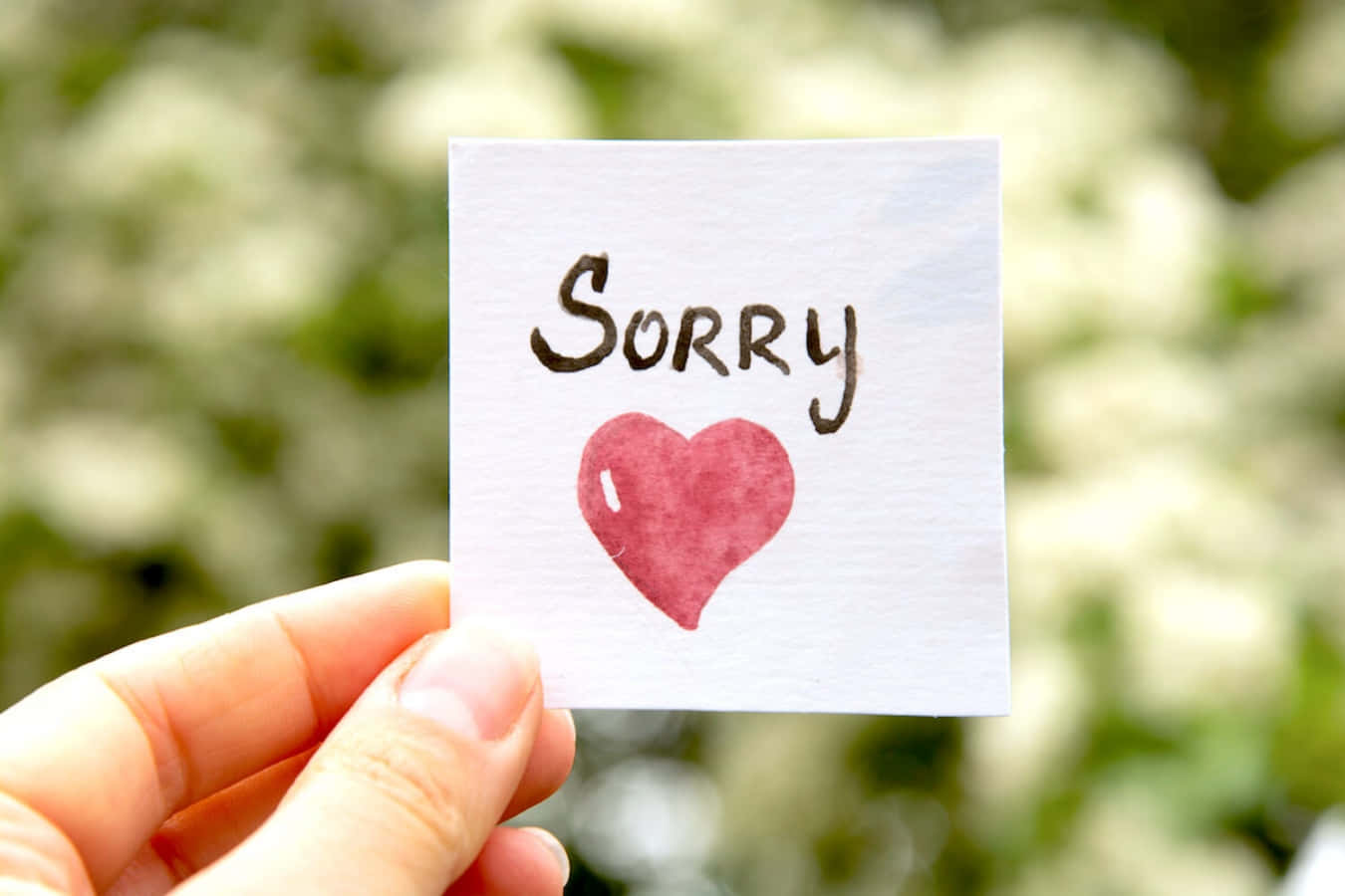 50 Sorry Love Messages to Apologize from the Heart