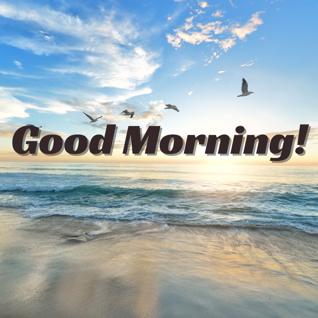 Good morning beach with ocean waves and flying birds