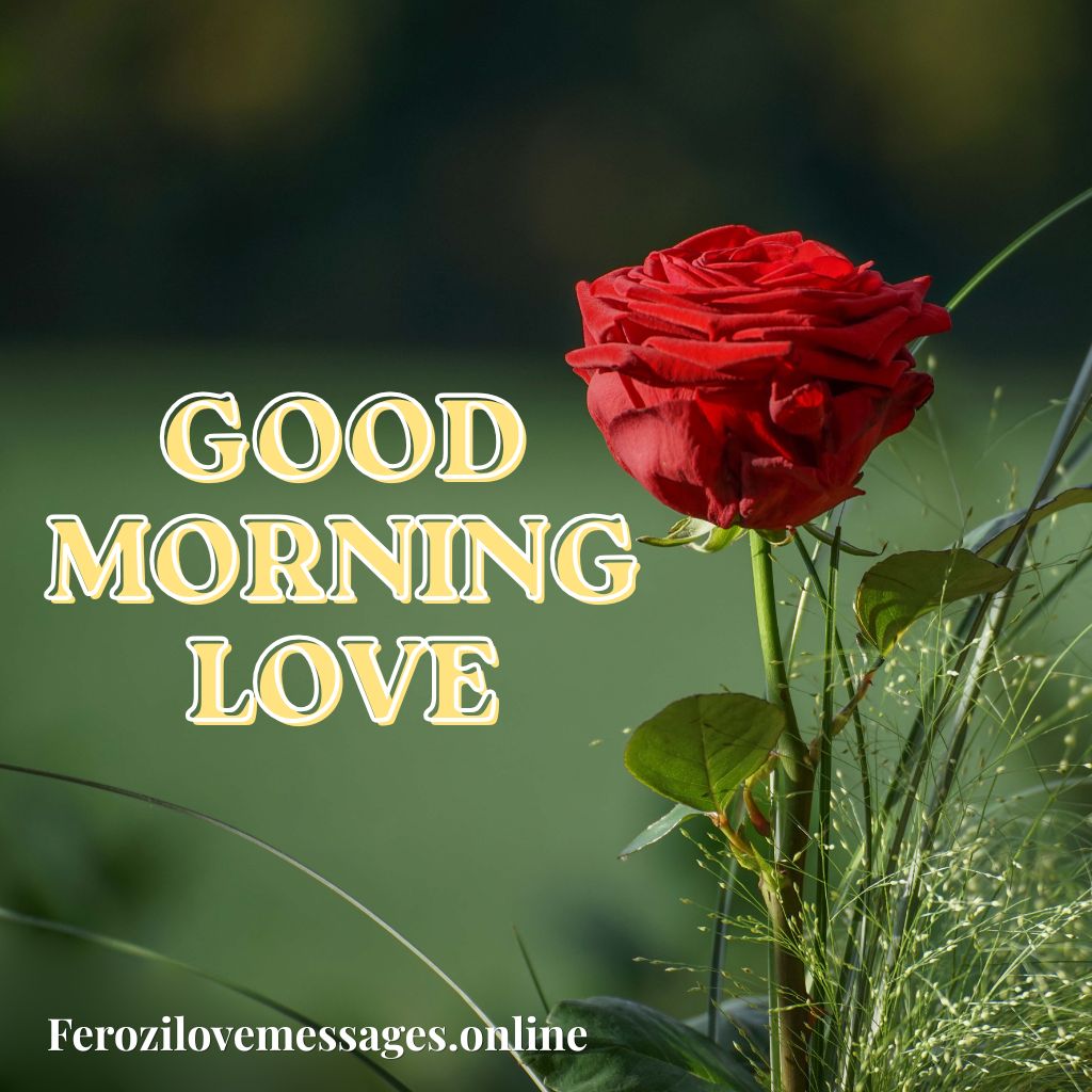 350+ Romantic Good Morning Love Messages for Someone Special