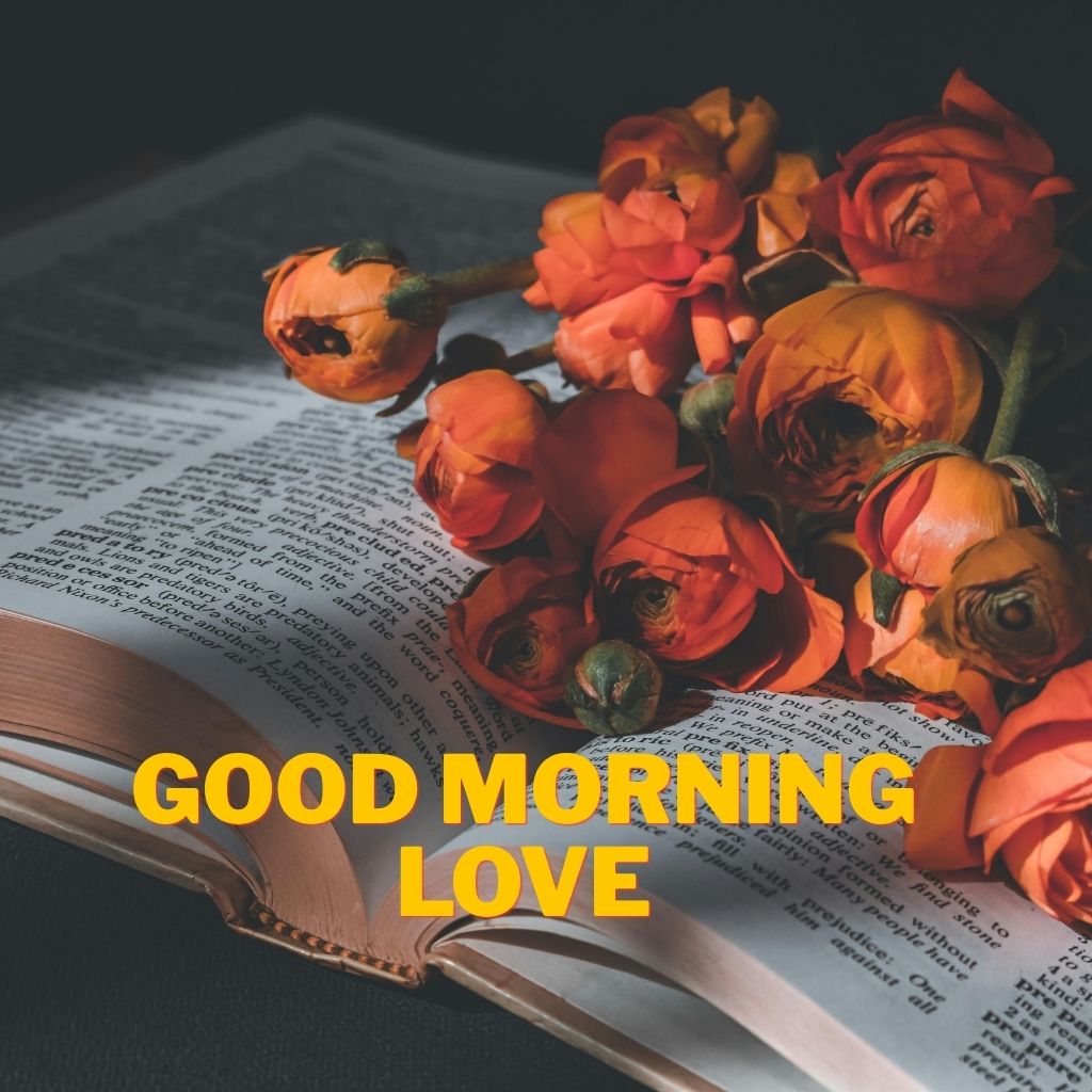 Orange roses resting on open book pages with bold yellow text reading "GOOD MORNING LOVE" across the image.