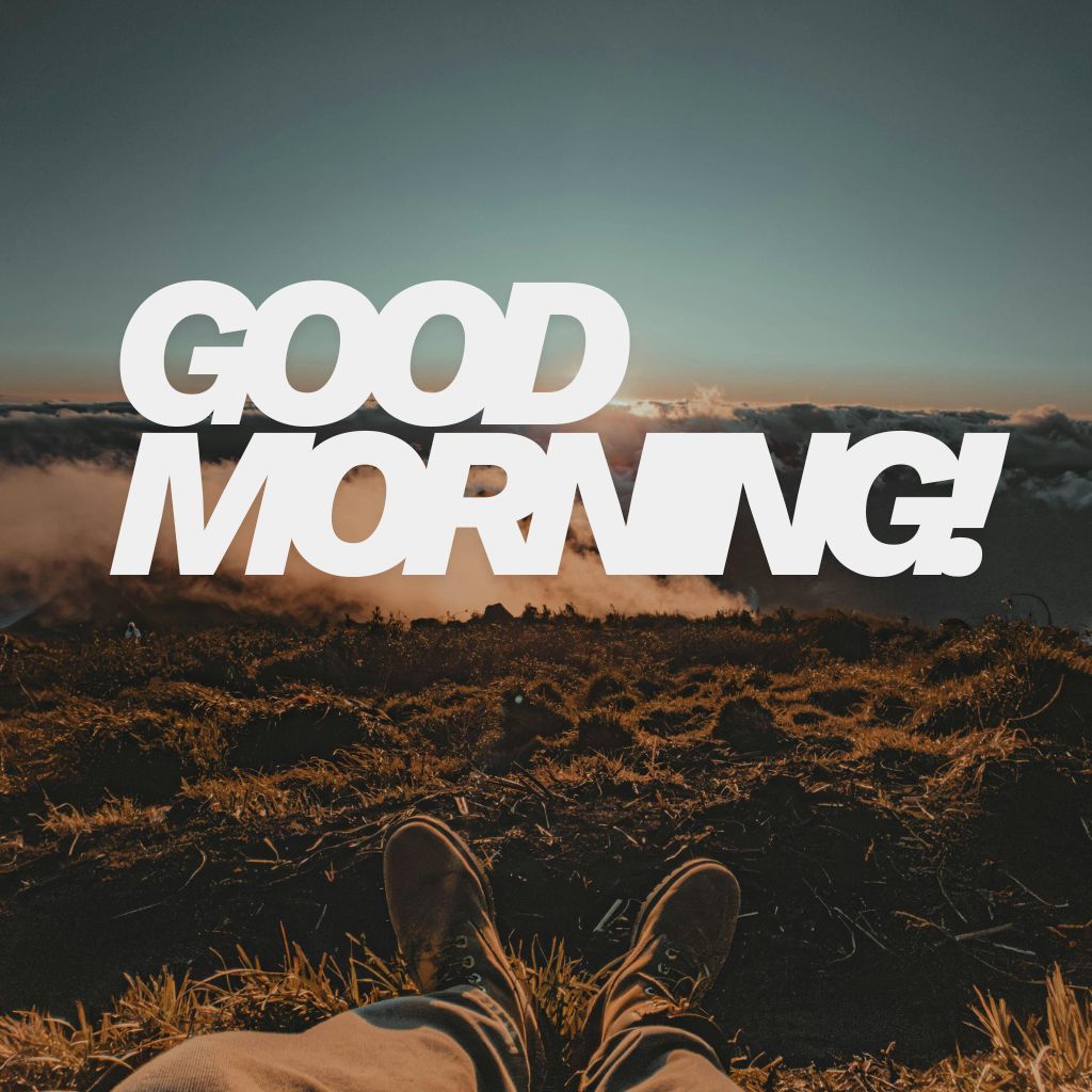 A serene morning landscape with soft sunlight, trees, and a peaceful atmosphere, conveying a sense of tranquility.