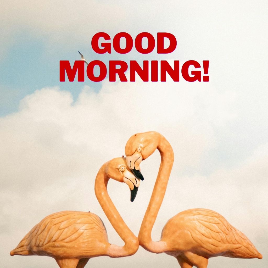 Good morning greeting with two flamingos forming a heart shape with their necks beneath bold red “GOOD MORNING!” text in a bright sky.