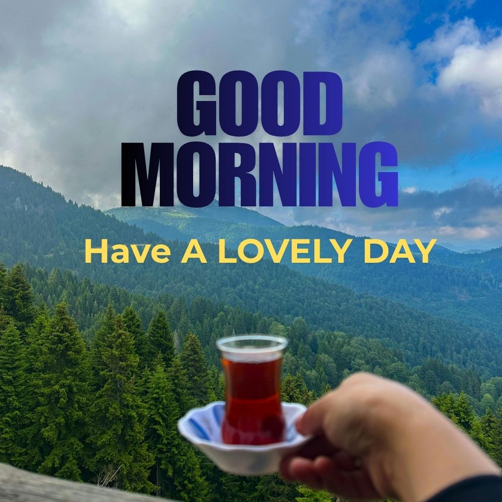 Bright morning scene with a sun rising over a landscape, accompanied by the text "Good Morning! Have a lovely day!"