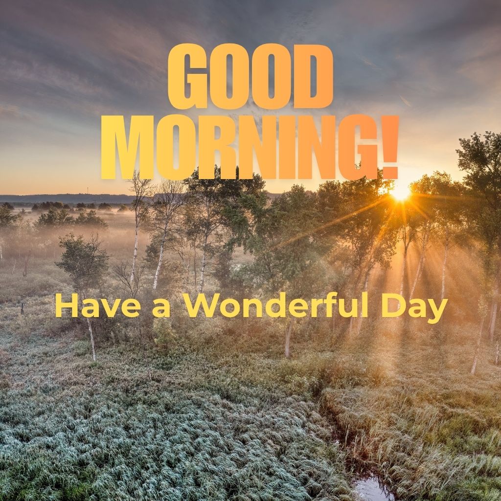 Bright morning scene with a sun rising over a landscape, accompanied by the text "Good Morning! Have a wonderful day!