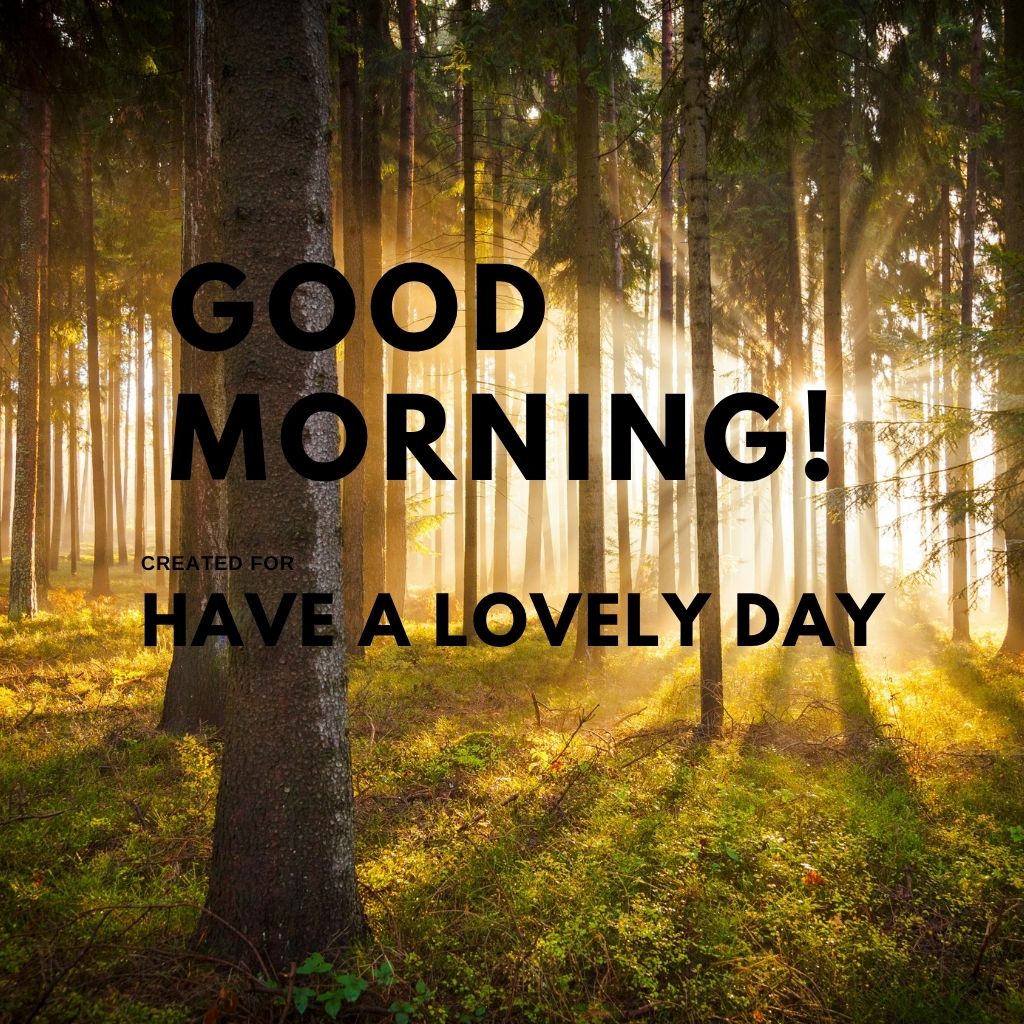 Bright morning scene with a sun rising over a landscape, accompanied by the text "Good Morning! Have a lovely day.