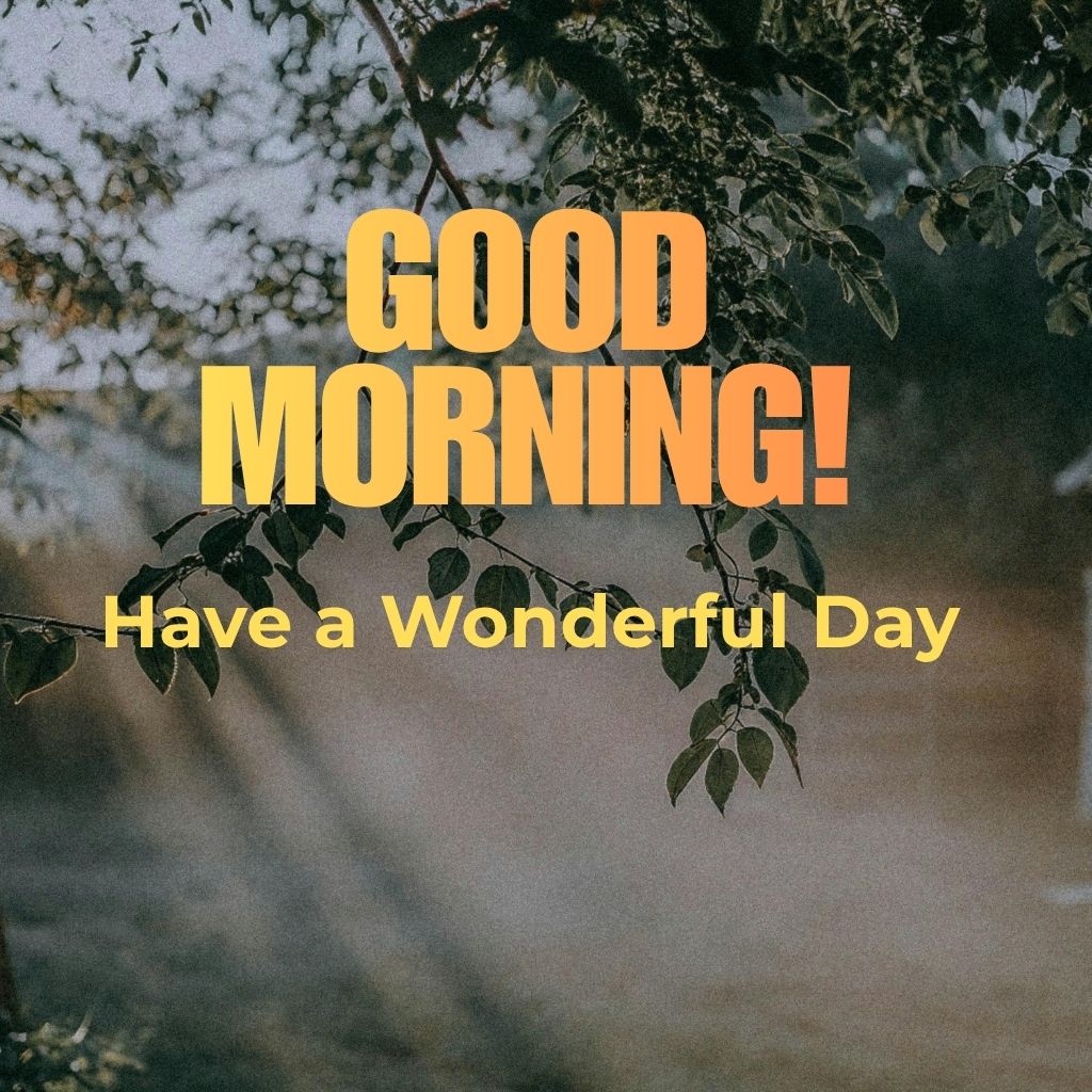 Bright morning scene with a sun rising over a landscape, accompanied by the text "Good Morning! Have a Wonderful Day!