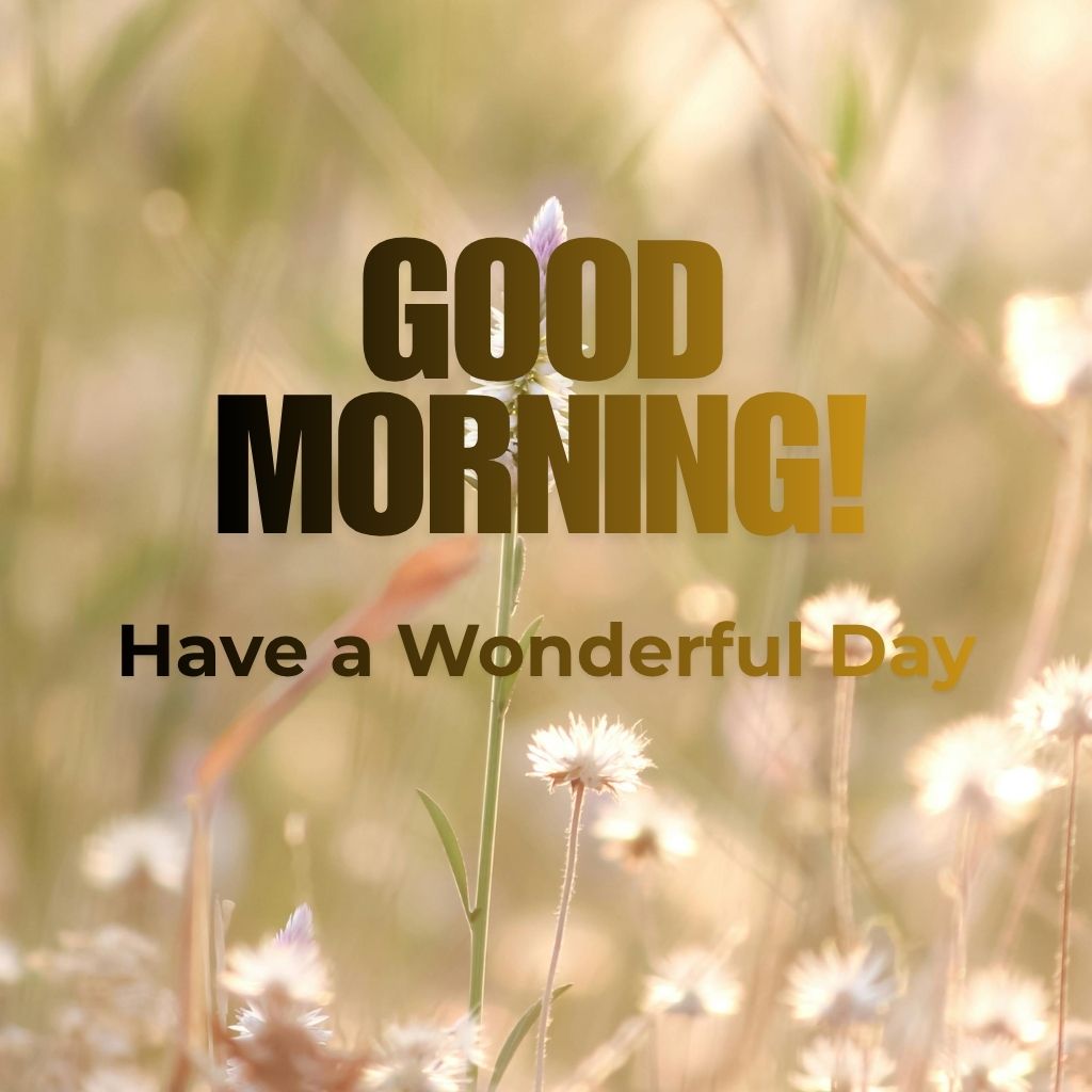 Bright morning scene with a sun rising over a landscape, accompanied by the text "Good Morning! Have a wonderful day!