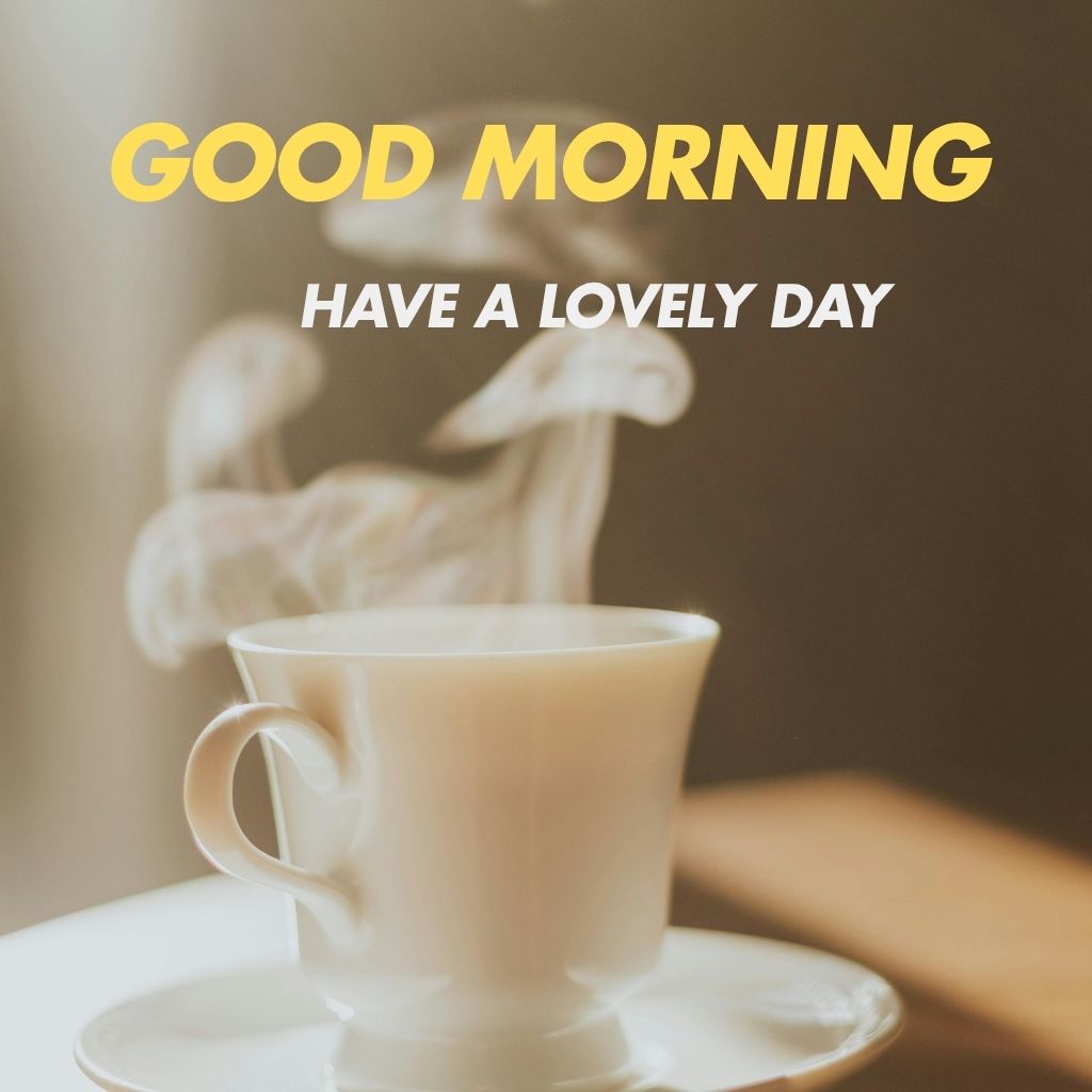 Bright morning scene with a sun rising over a landscape, accompanied by the text "Good Morning! Have a lovely day.