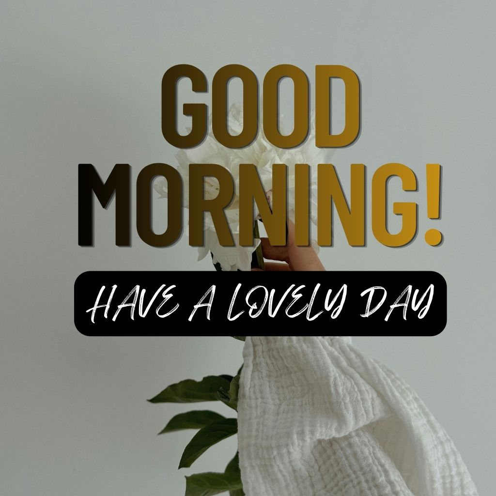 Bright morning scene with a sun rising over a landscape, accompanied by the text "Good Morning! Have a lovely day!