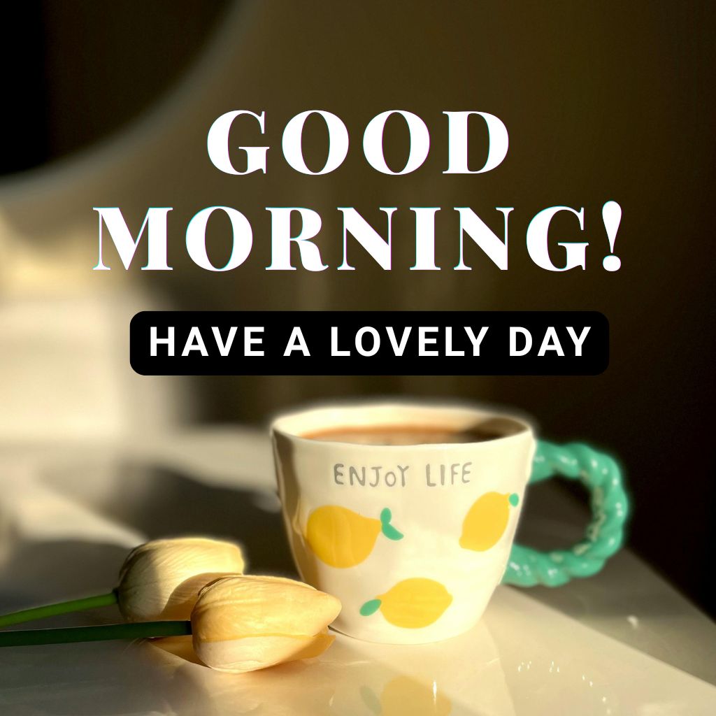 Bright morning scene with a sun rising over a landscape, accompanied by the text "Good Morning! Have a lovely day.